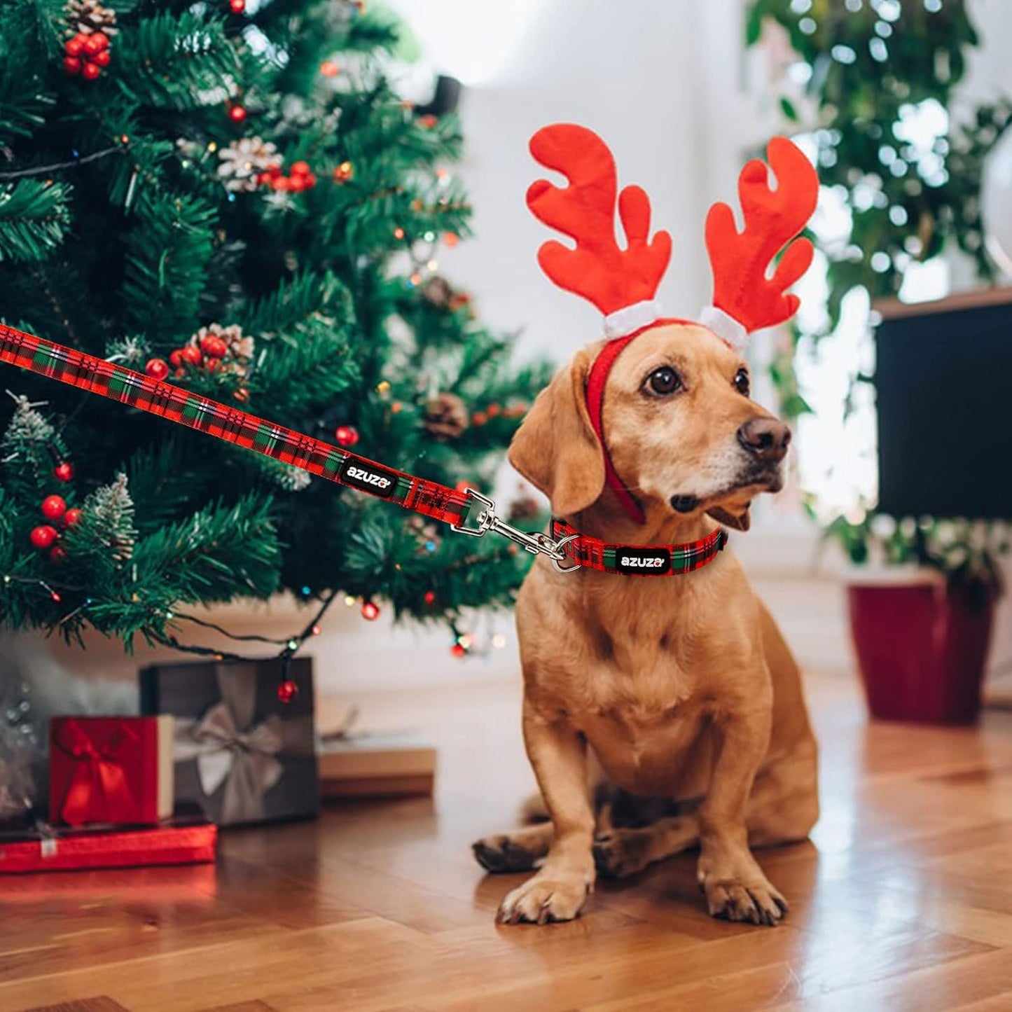 Christmas Dog Collar and Leash Set, Buffalo Plaid Dog Collar with Matching Leash for Small Dogs, Great for Christmas, New Year, Festivals and Daily Use